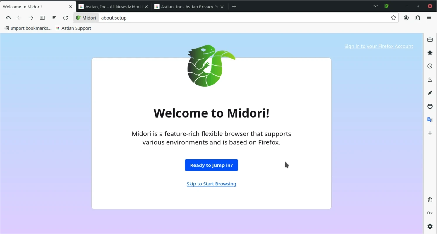 Midori Browser – Screenshot 1